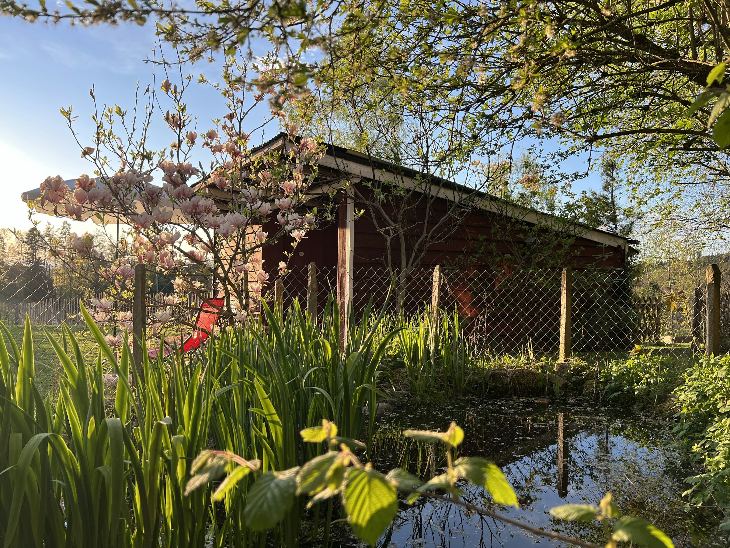 Campen auf dem Schliernberg