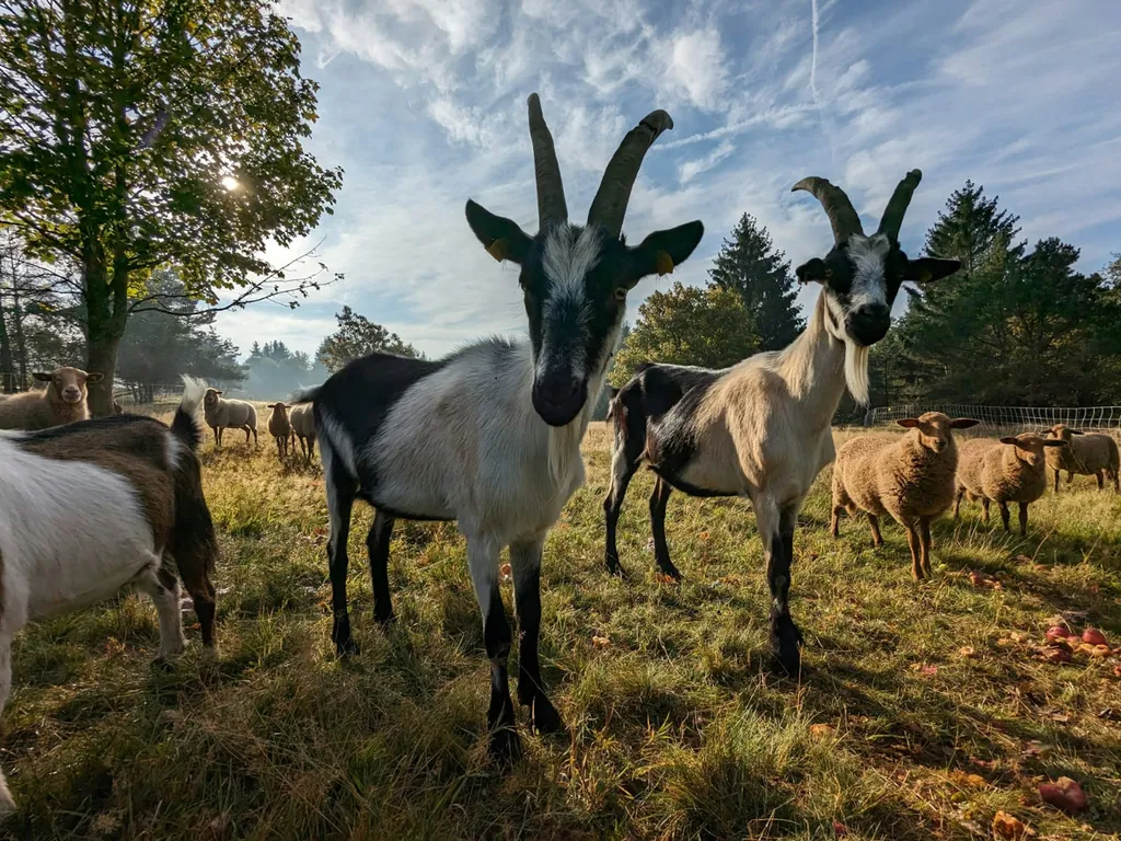 Stellplatz mit grandioser Aussicht
