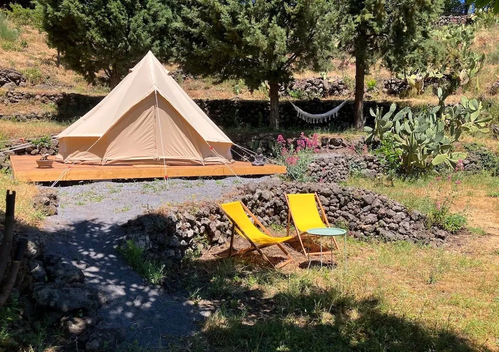Camp Etna Verde Vine & Olives
