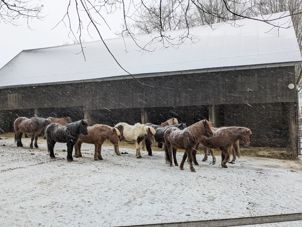 Image by She-La for spot 4264