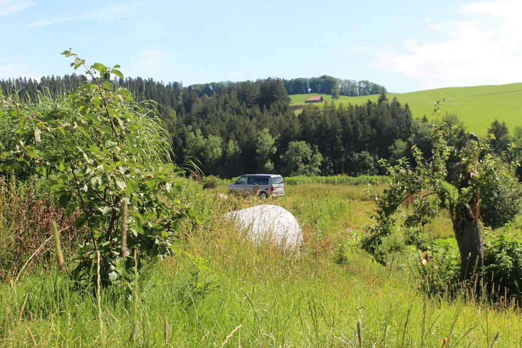 Natur-Camp am Badeteich