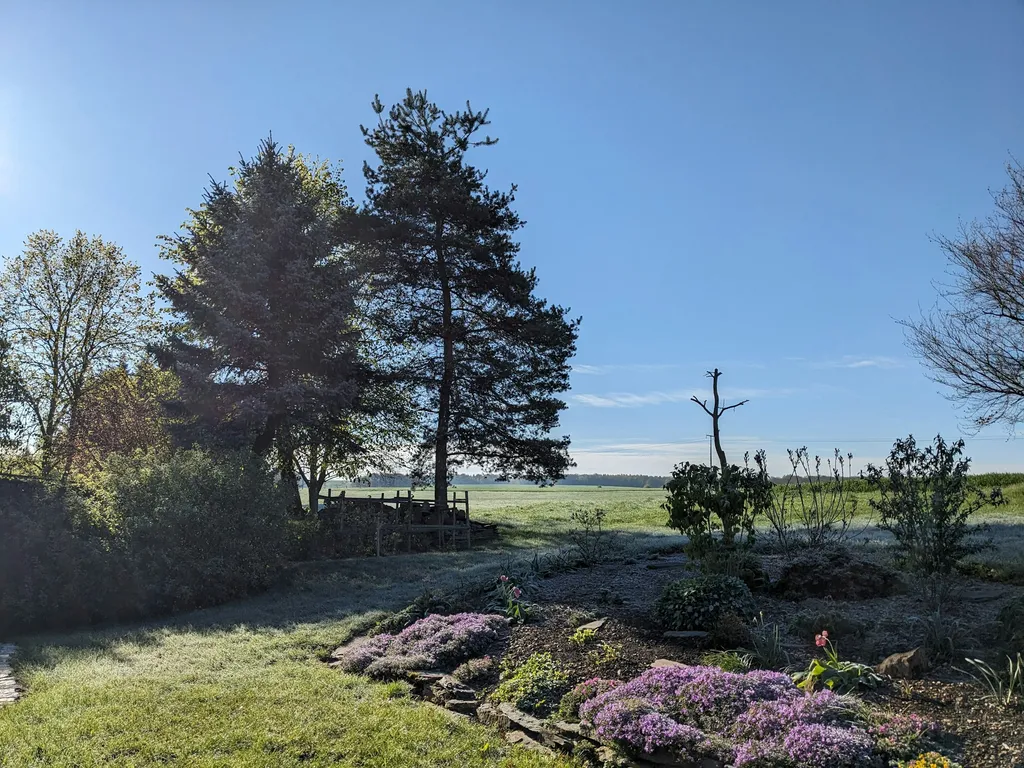 Ruhiger Naturgarten am Feldrand