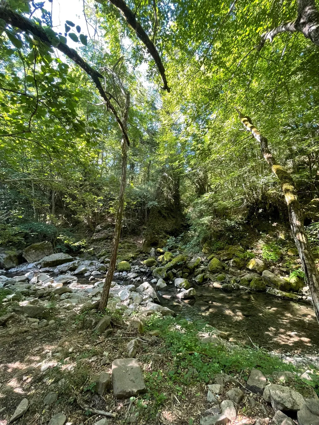 Camp Senxuia Nel Bosco