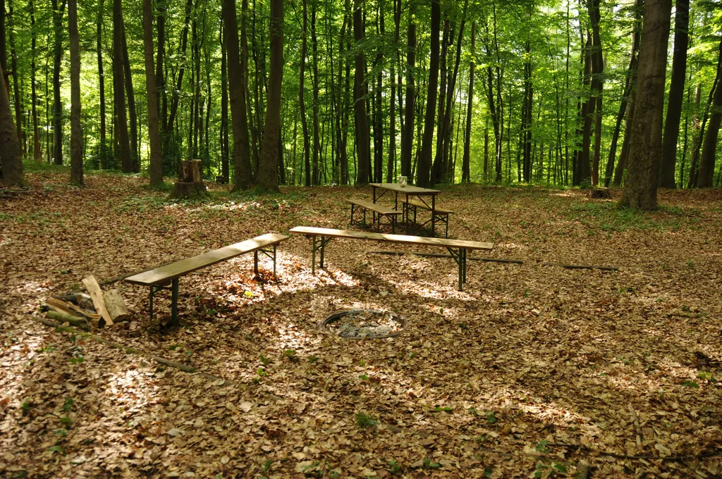 Vanstellplatz im BuchengrĂŒn