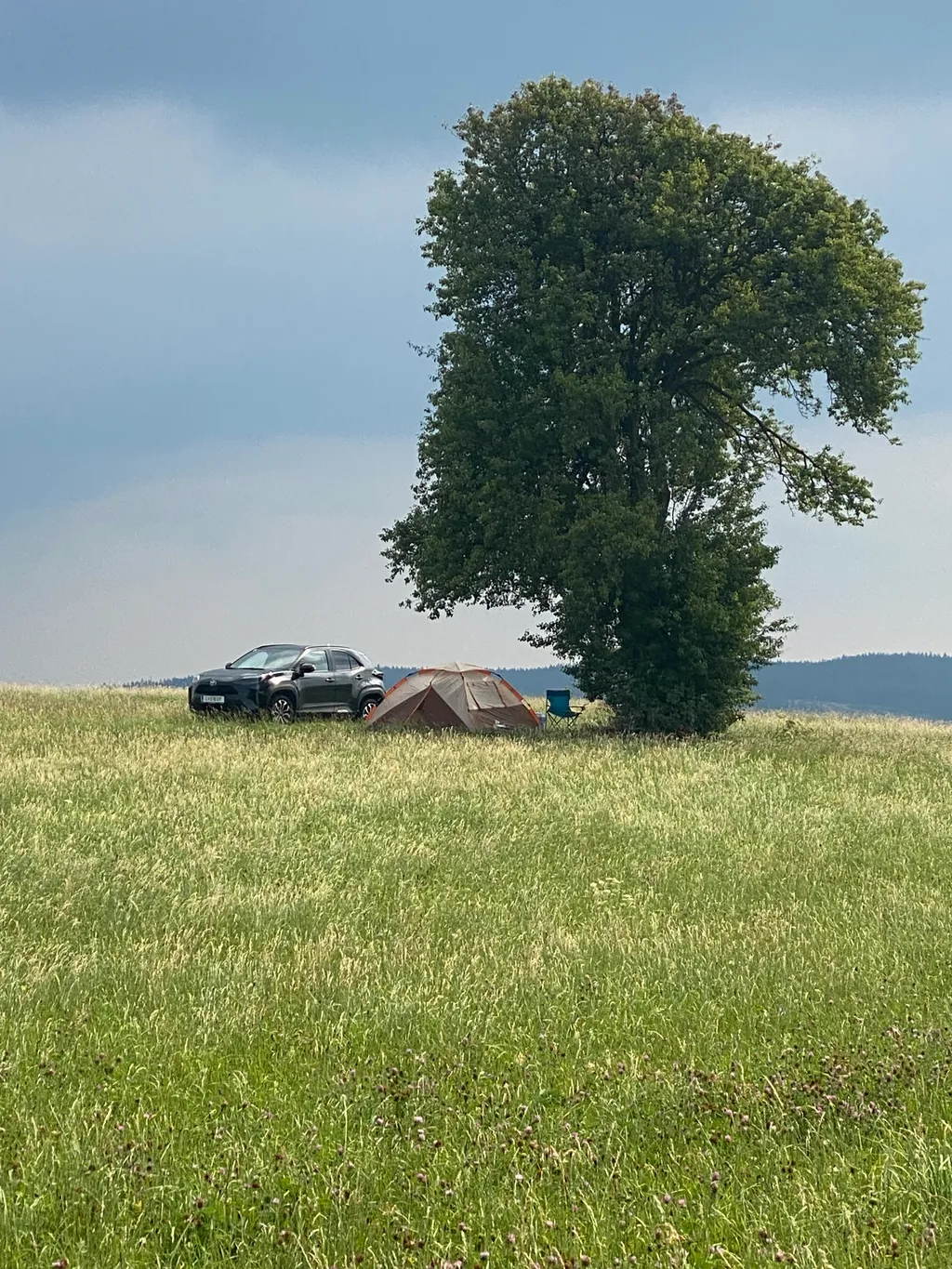 Bild von Ariunzaya für den Spot 1430