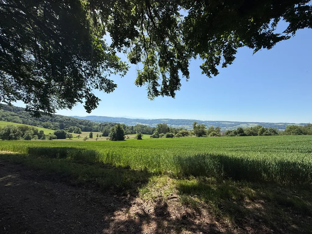 Bild von Axel für den Spot 1387