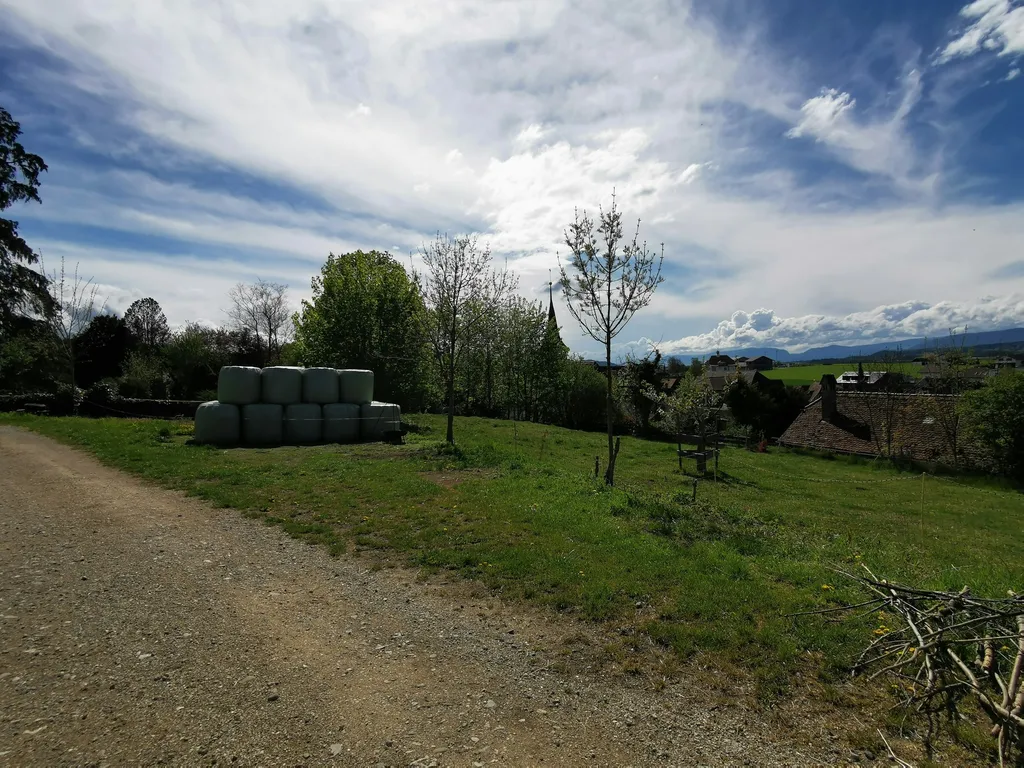 Biohof Hübeli Hofstatt