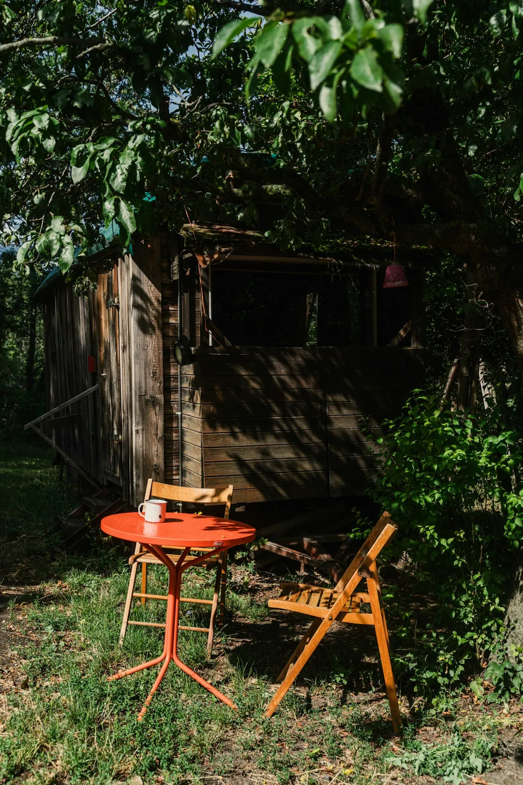 Zwischen Holunder und Zwetschge