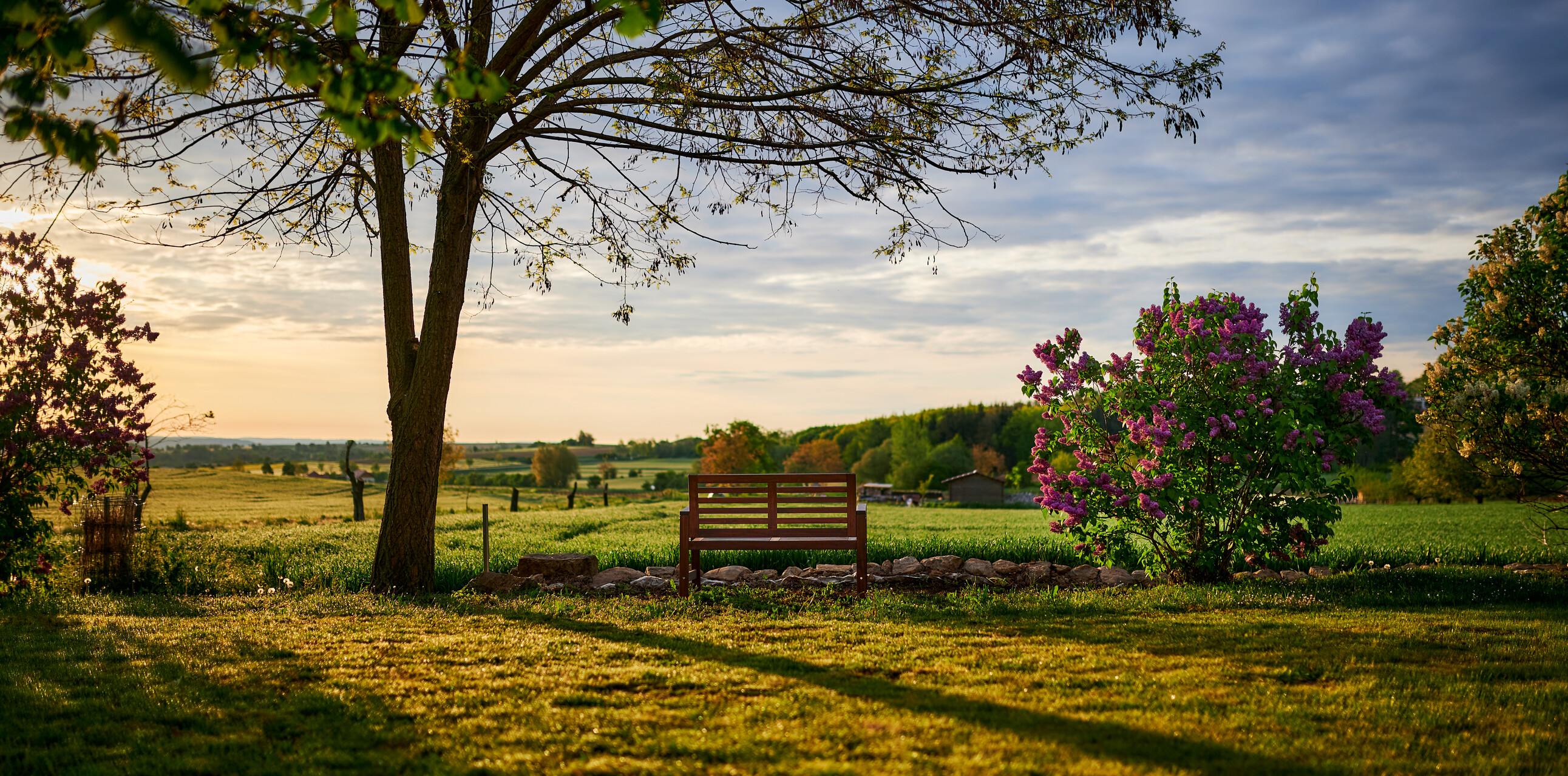 vnghlz3gel85lxm72m0t3jmd