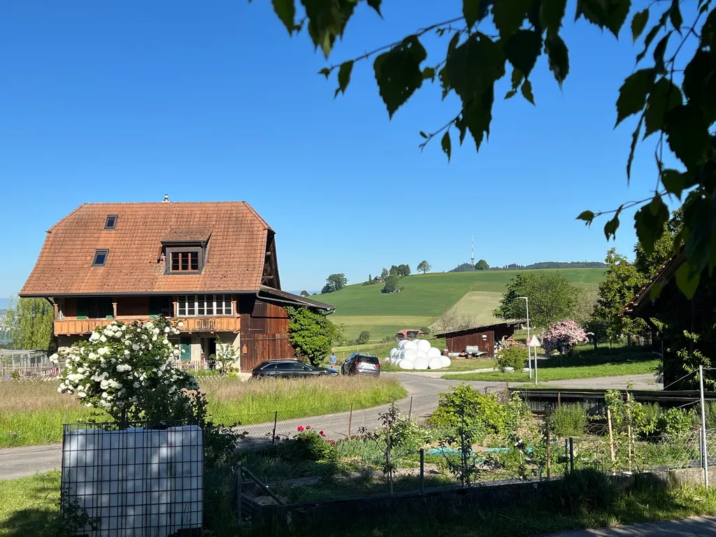 Bild von Bernhard für den Spot 3648