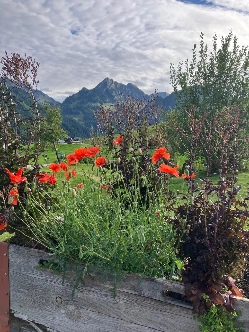 Auf dem Schloss über dem Schwarzsee