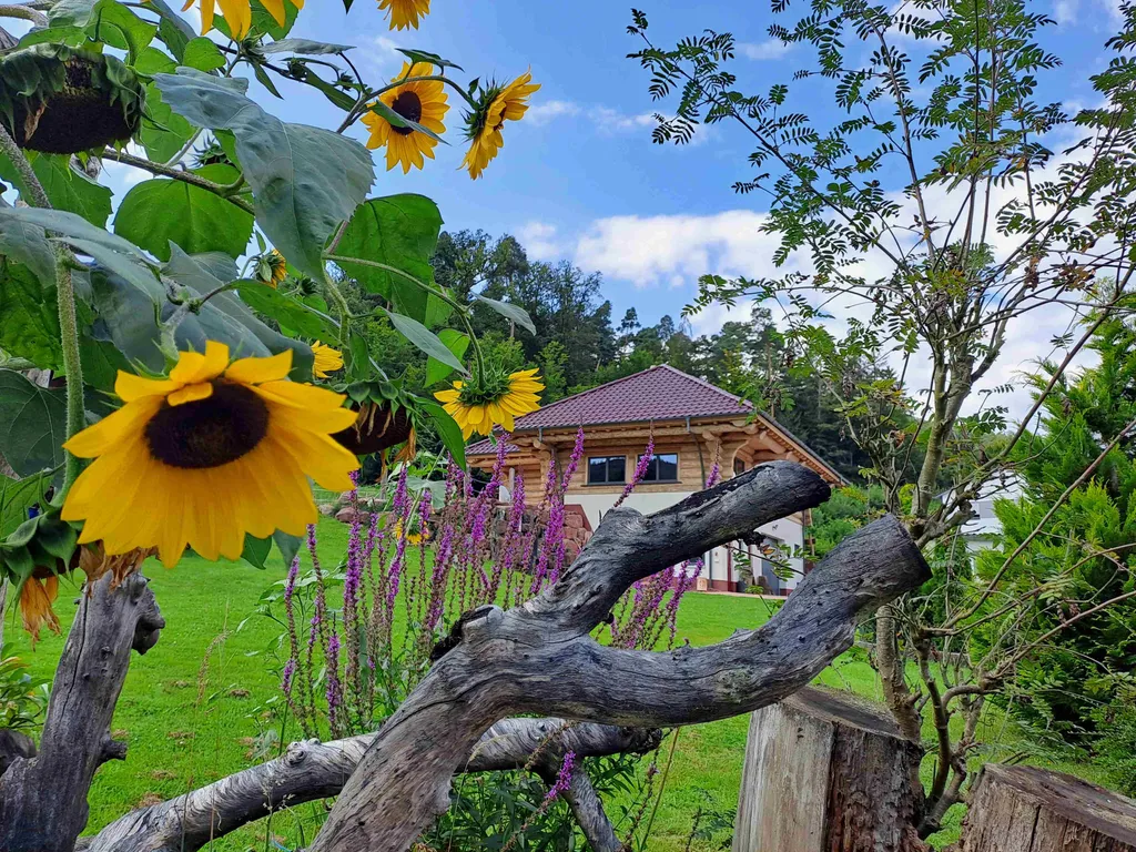 Am Blockhaus Wolfswiese
