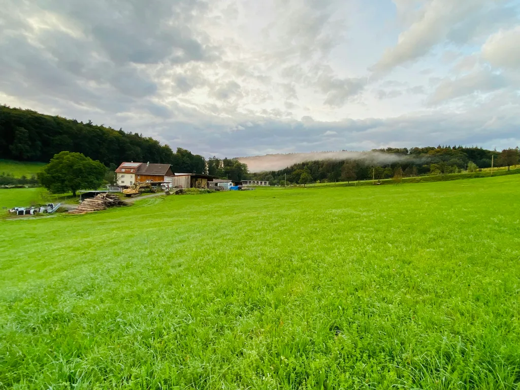 Hof-Plätzle auf der Höri