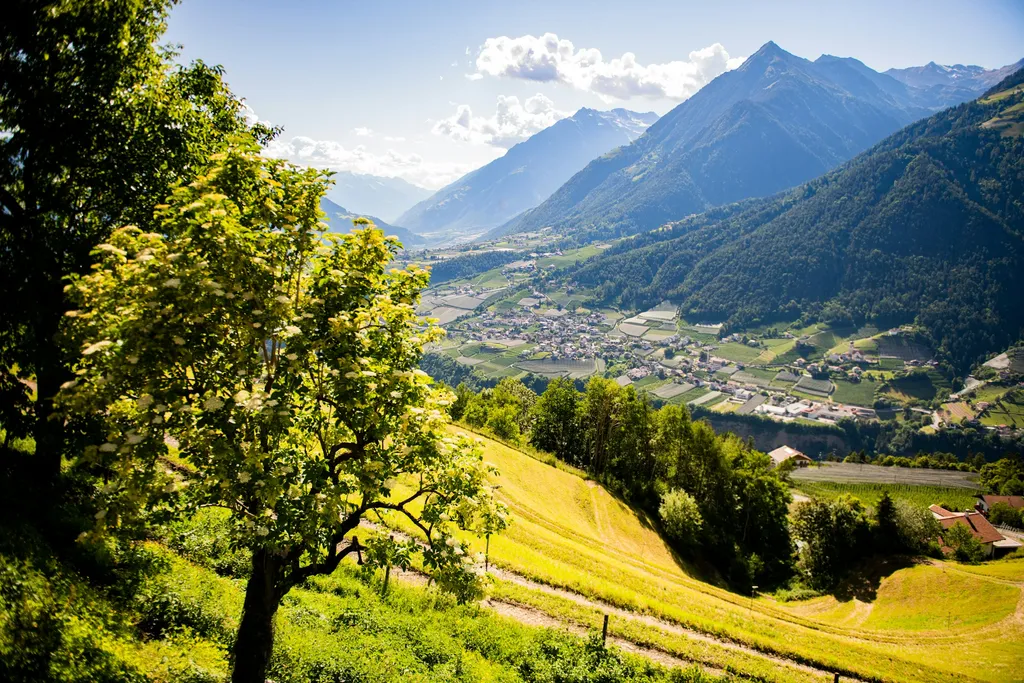 Heulager - Scheune - Bergblick.