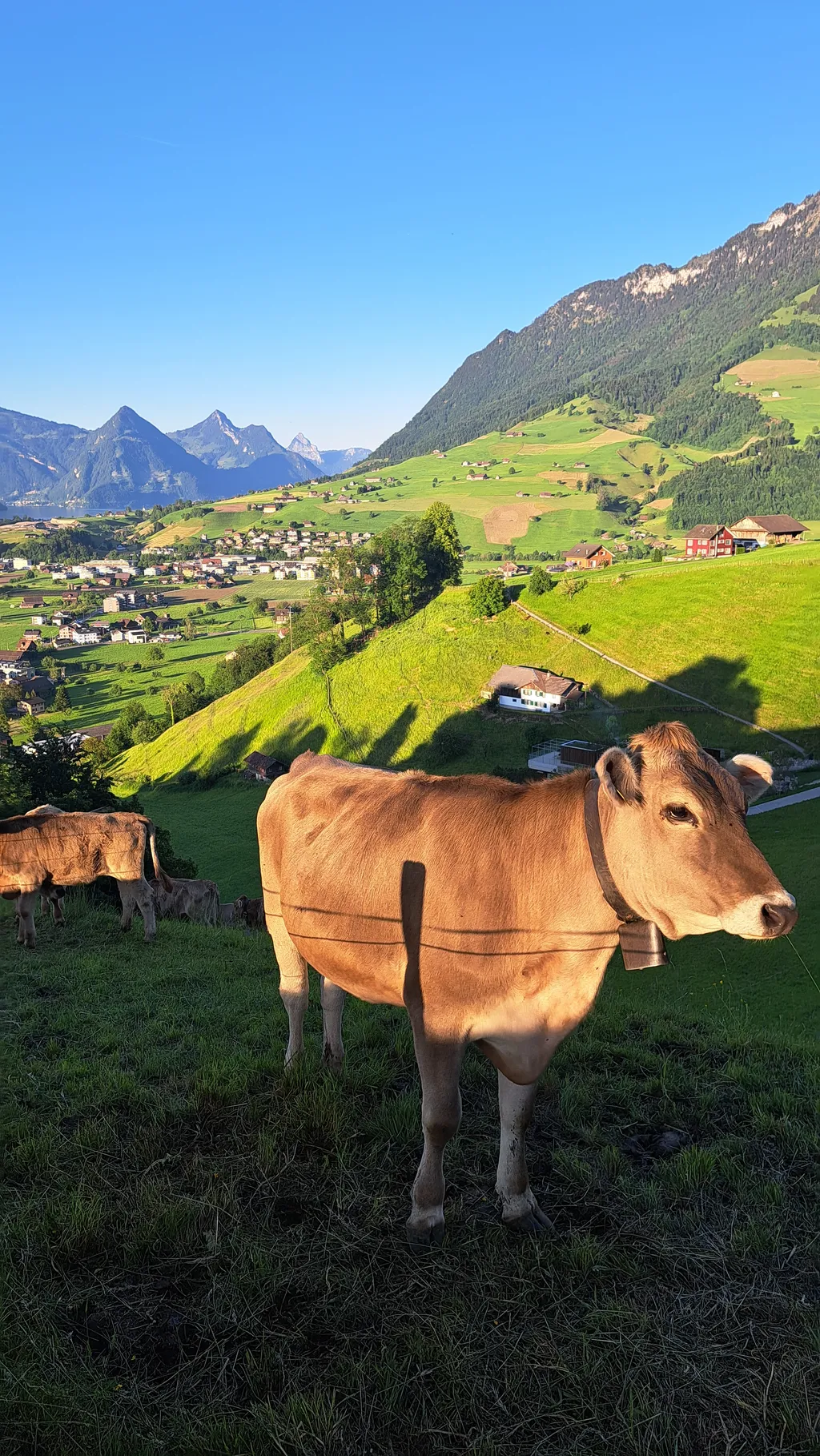 Bild von sophie für den Spot 424