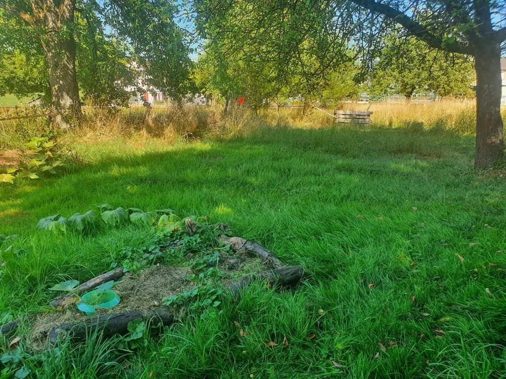 Augenweide
