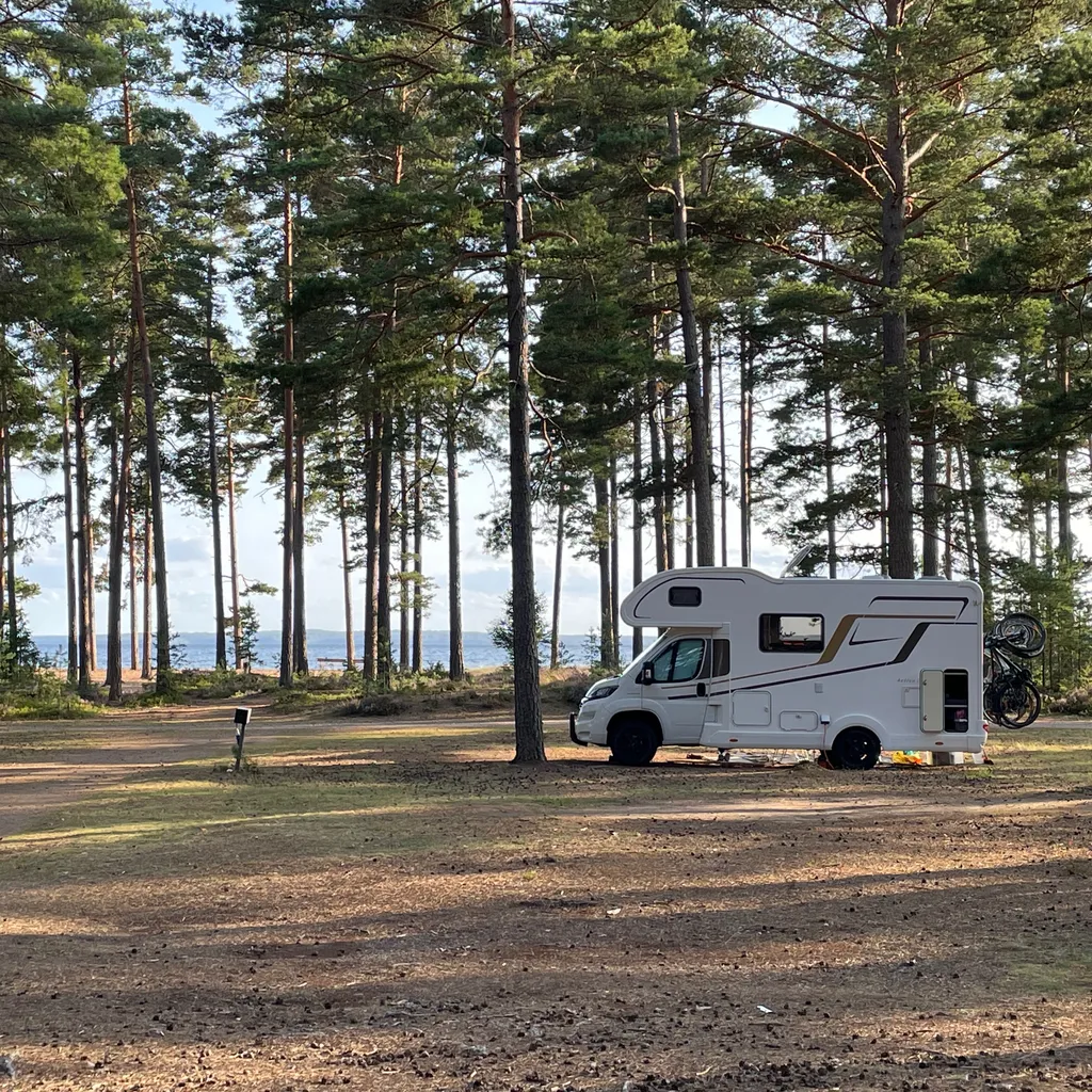 Profilbild von Sandra