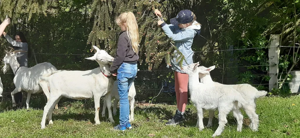Zeltplatz Notunterkunft b.Gewitter