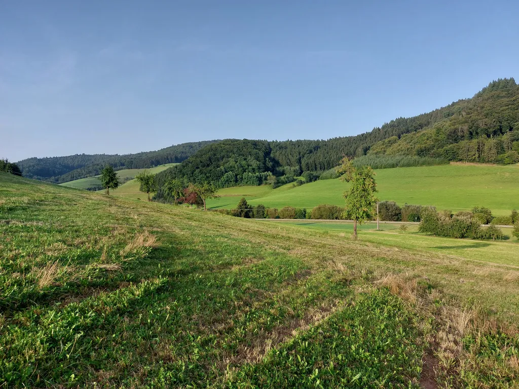 Blick Richtung Ortsteil Schuttertal und die Verbindungsstr. Schuttertal - Dörlinbach