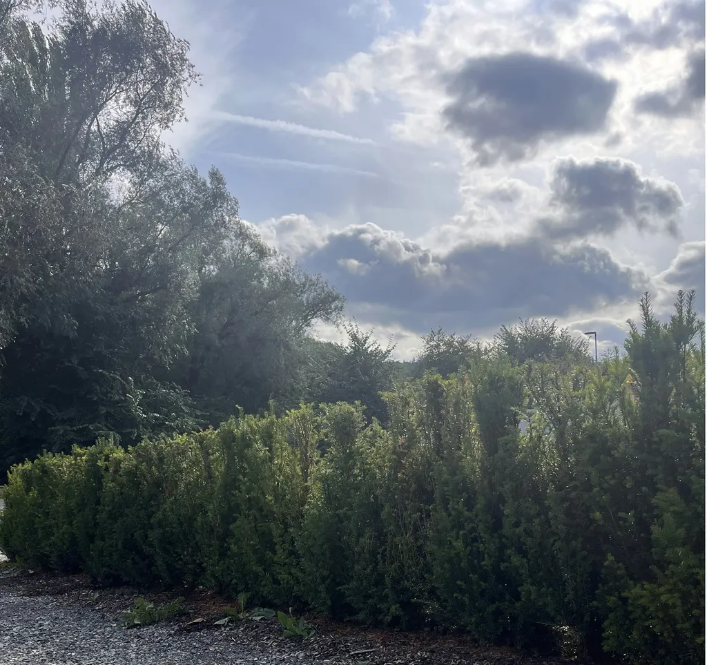 Stellplatz an Wanderroute und Höhle