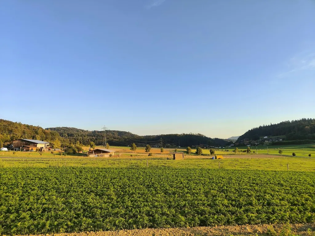 Biohof Maiacher - inmitten der Natur