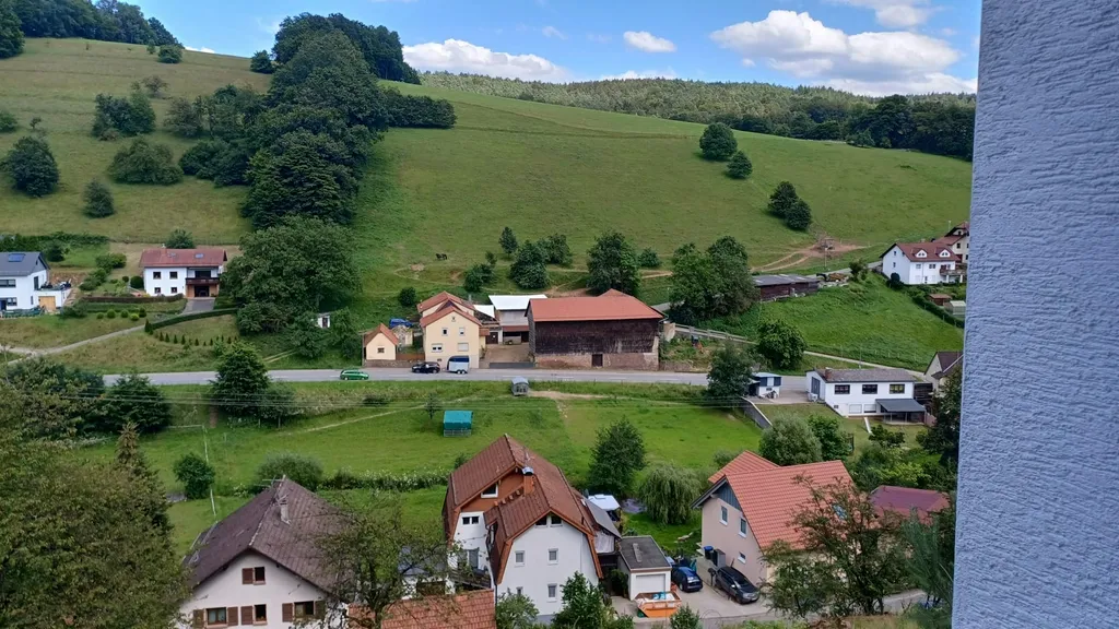 Burgruinenblick im schönen Odenwald
