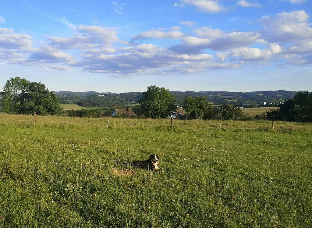 Zelten mit Panoramablick