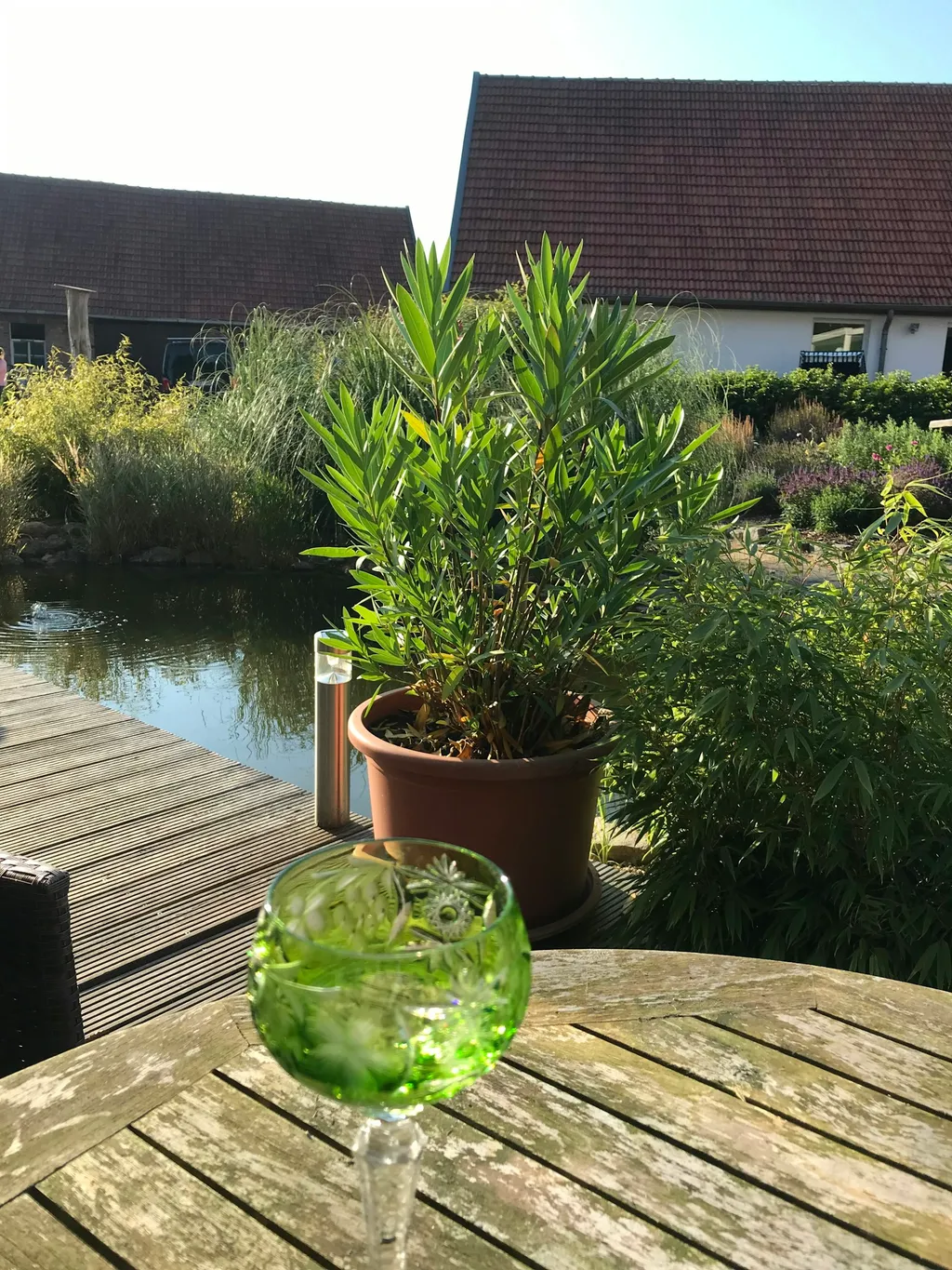 Camping auf der Wiese – Natur Pur