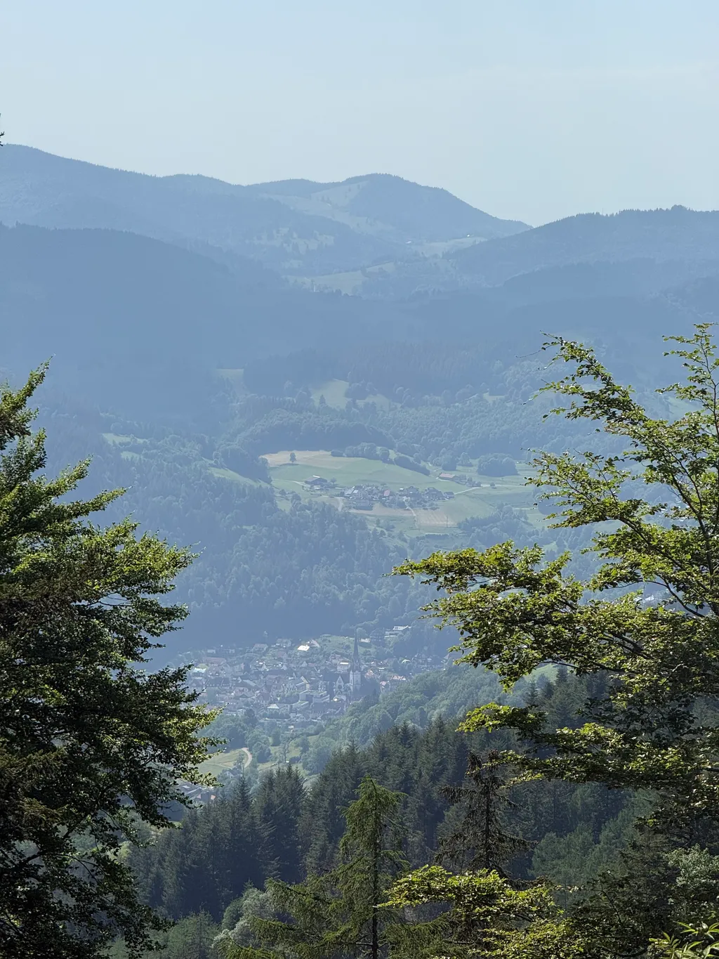 Bild von Sonja für den Spot 1726