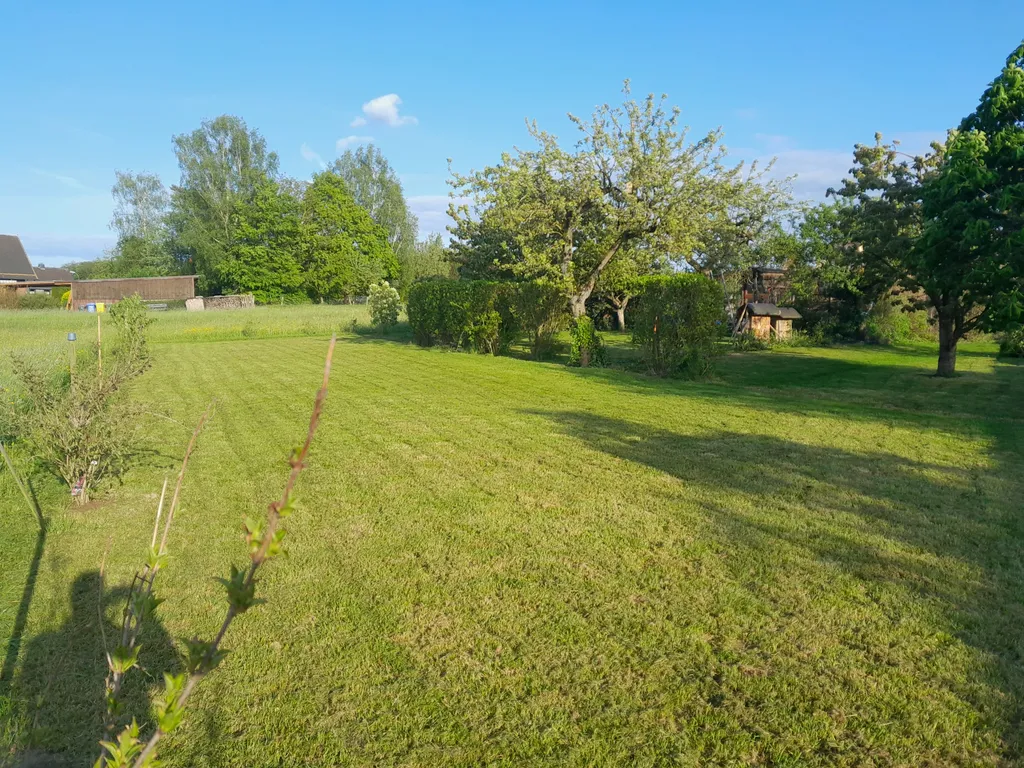 Obstgarten am Dorfrand