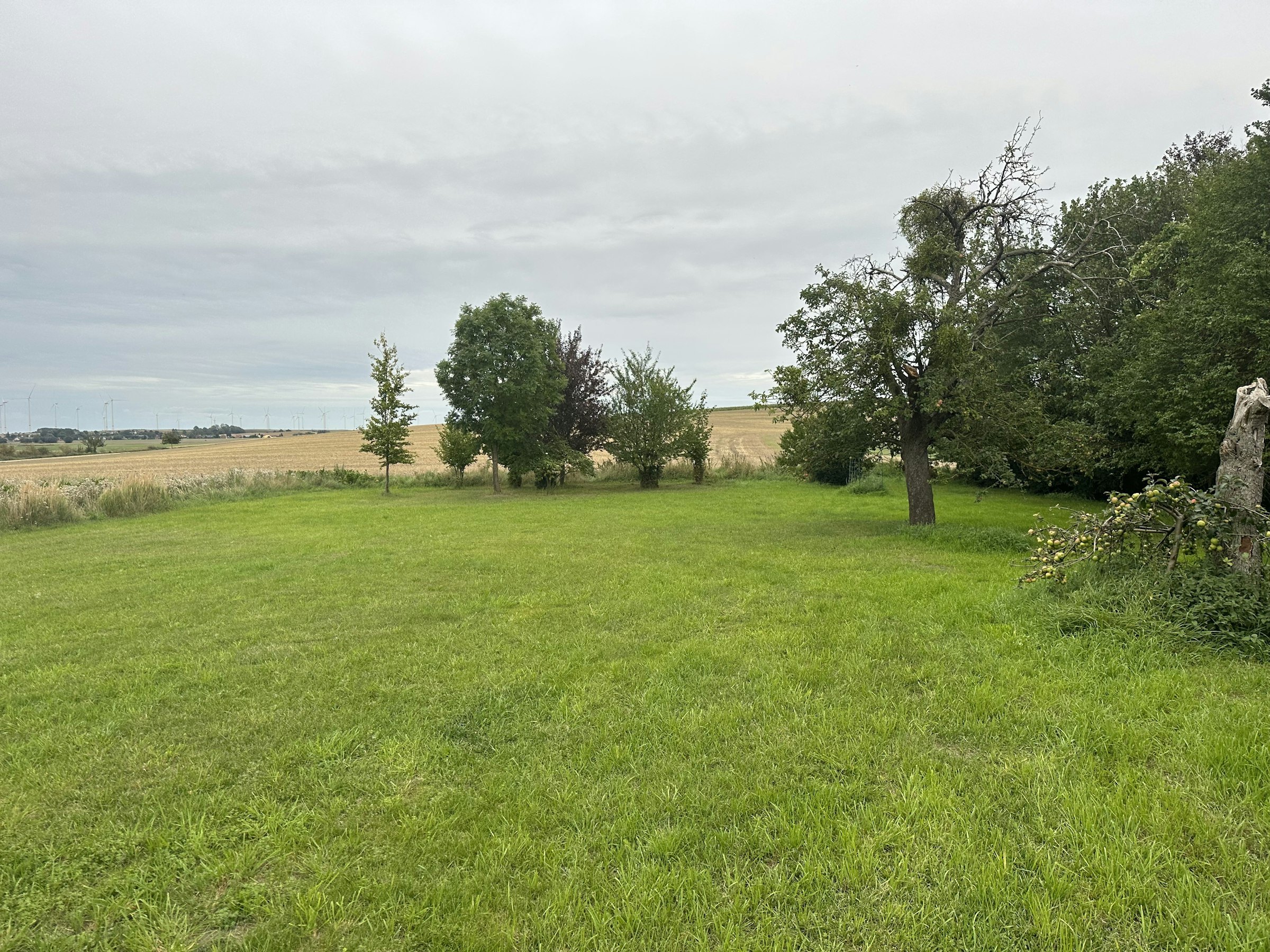 Idyllischer Apfelgarten mit Sauna