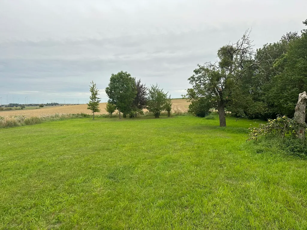Idyllischer Apfelgarten mit Sauna