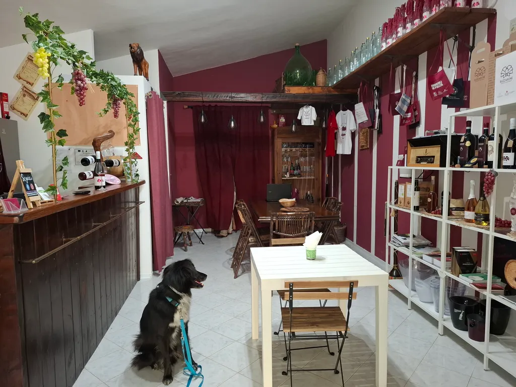 Bild von Patty für den Spot 1047