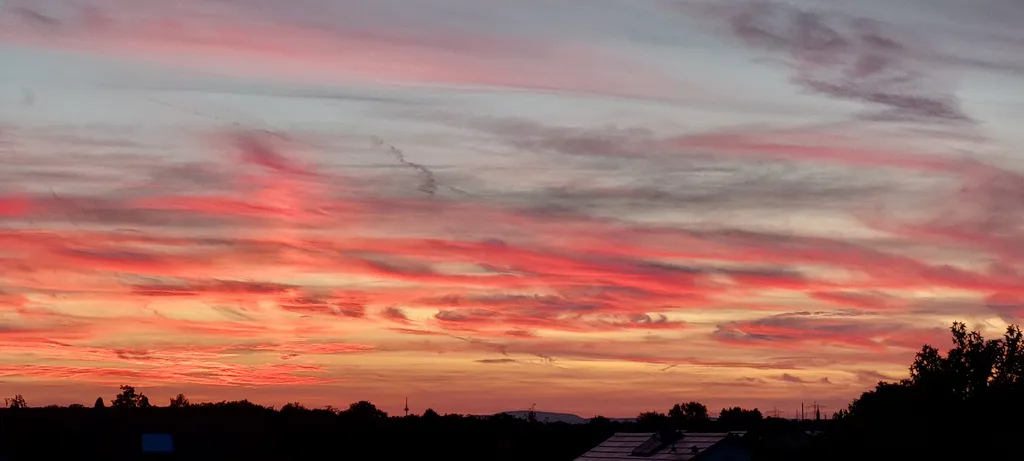 Sunset unterm größten Nussbaum