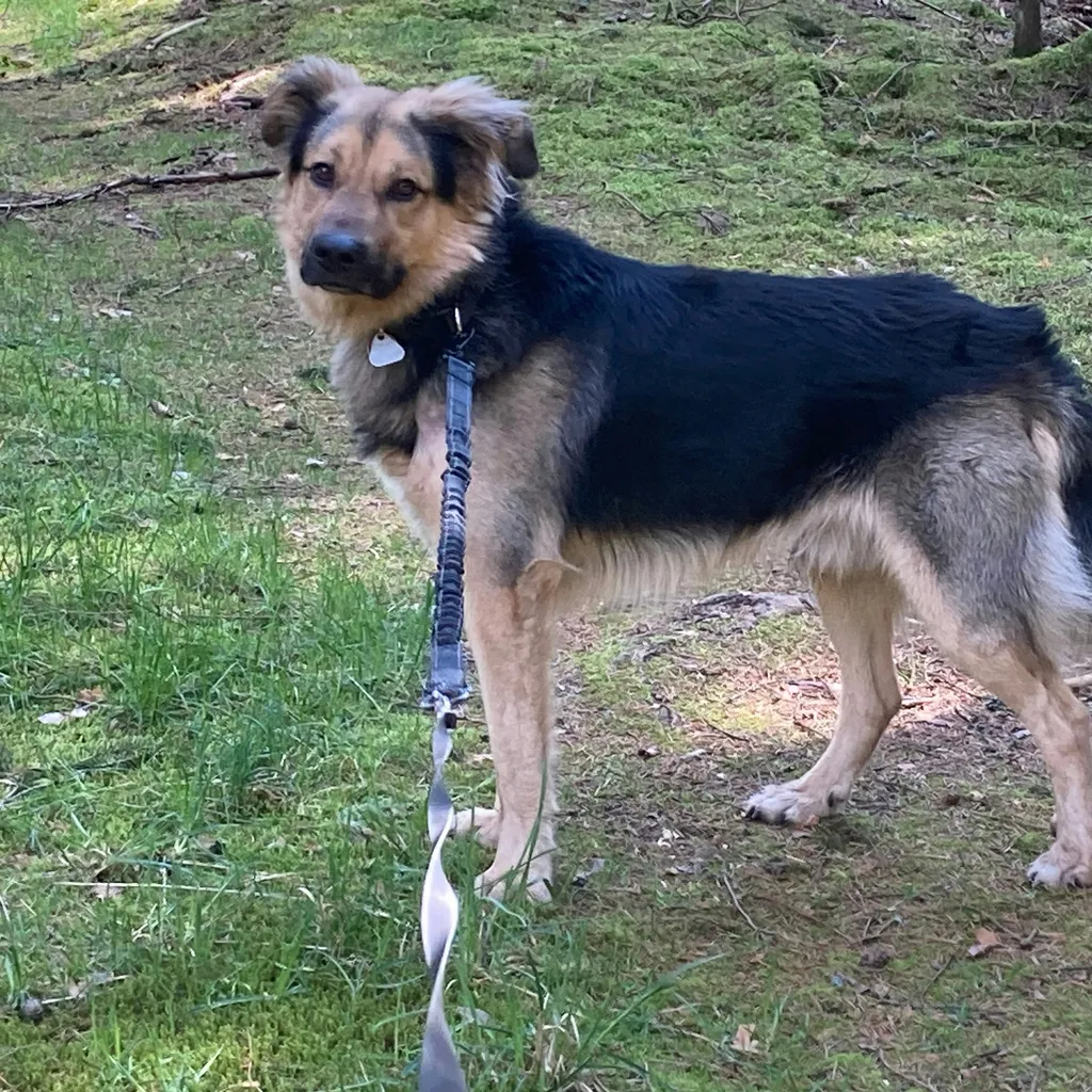 Profilbild von Matthias