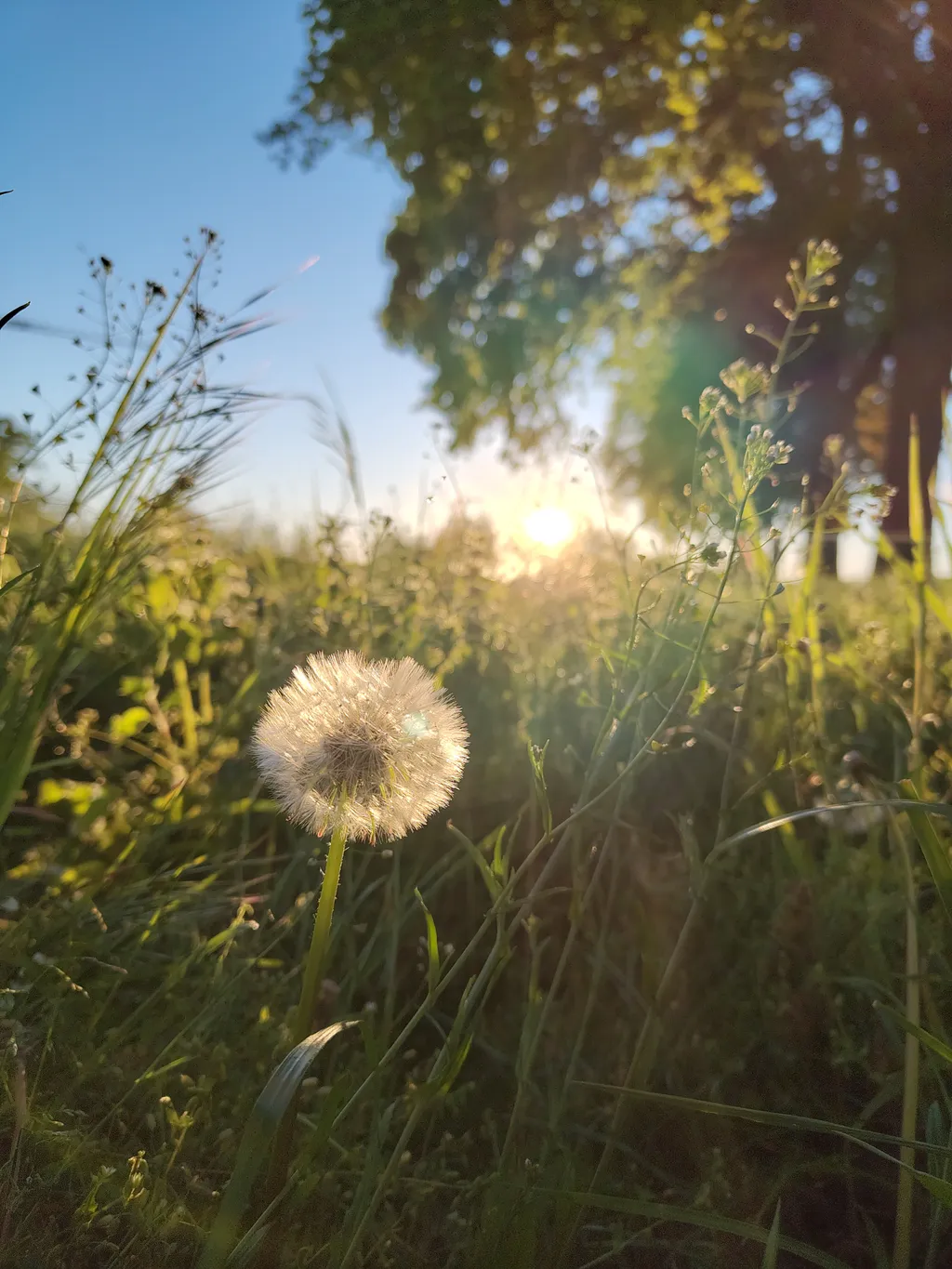 Immagine di Kathrin per lo spot 3797
