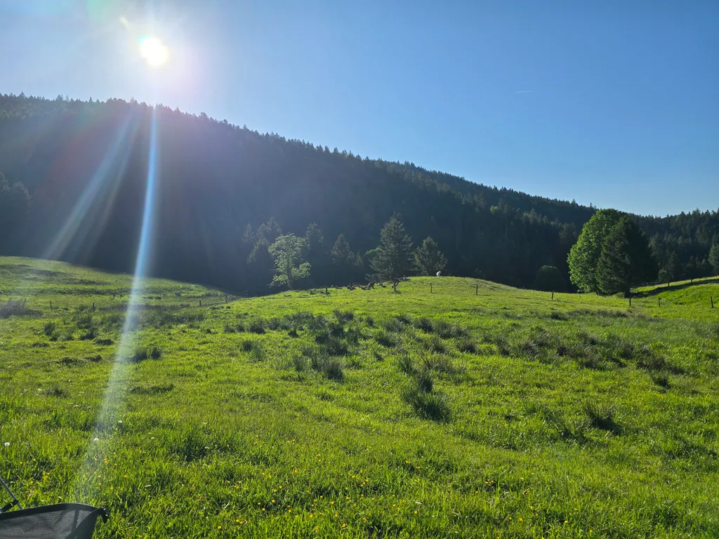 Bild von Manuel für den Spot 5107