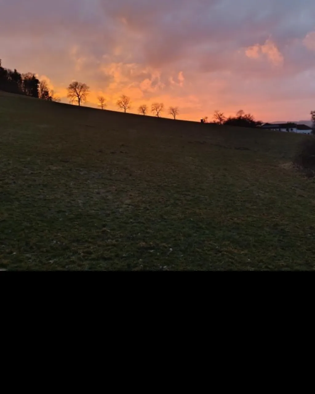 Vierkanter in Einzellage