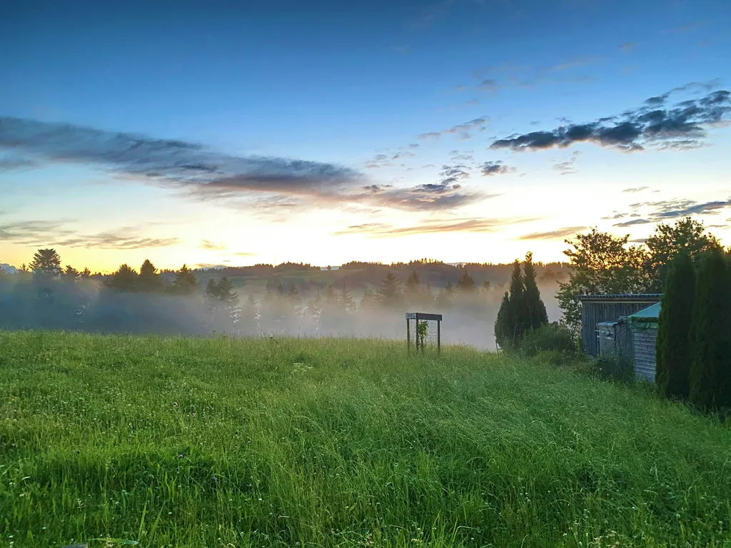 Tröimli Rüegsbach - Rotmilan