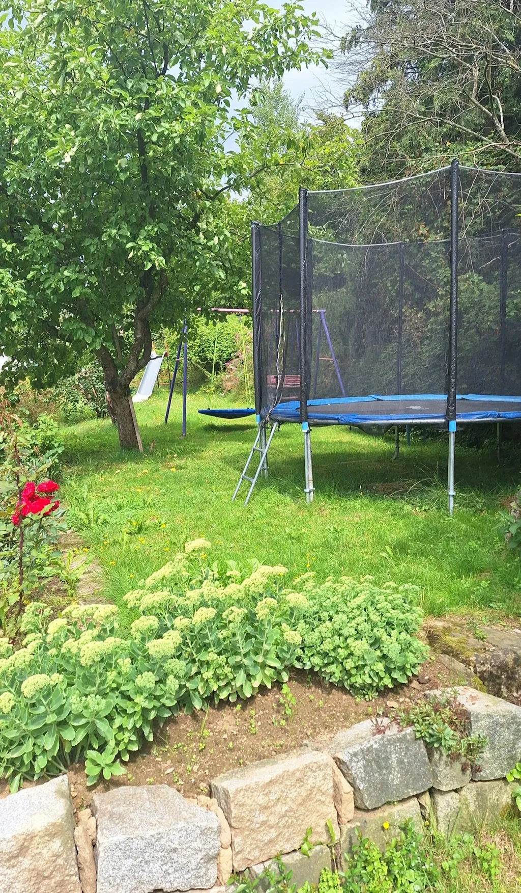 Woid-Wiese mit Ausblick