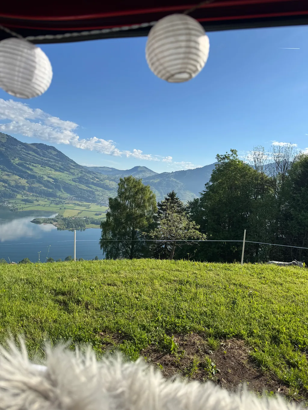 Bild von Shirley für den Spot 365