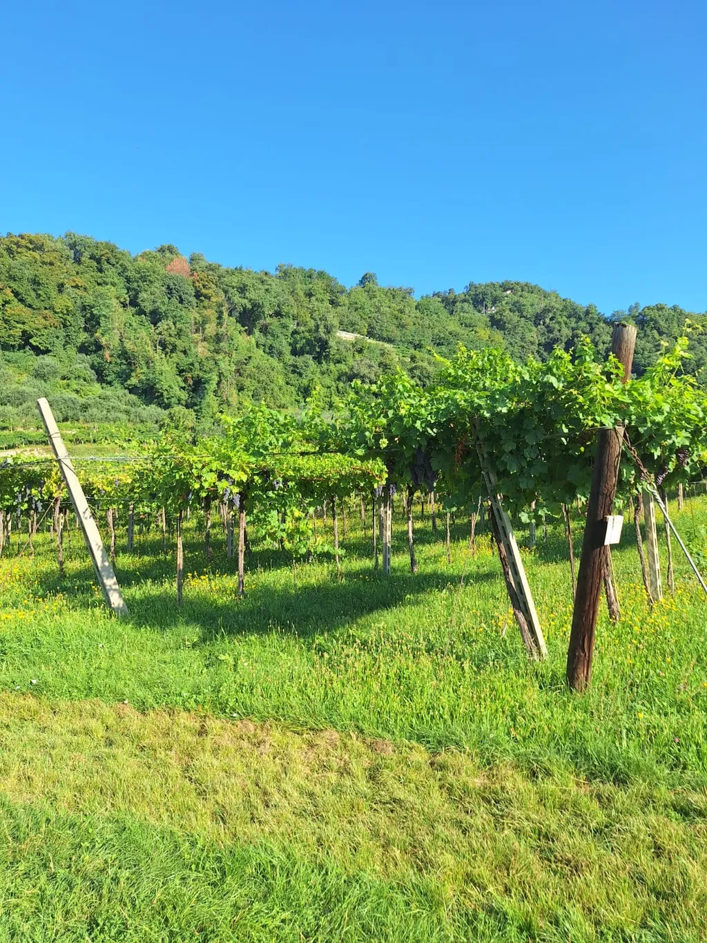 Bild von Sara für den Spot 1055