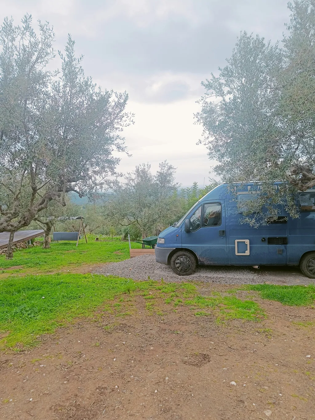 Stille im Olivenhain mit Meerblick