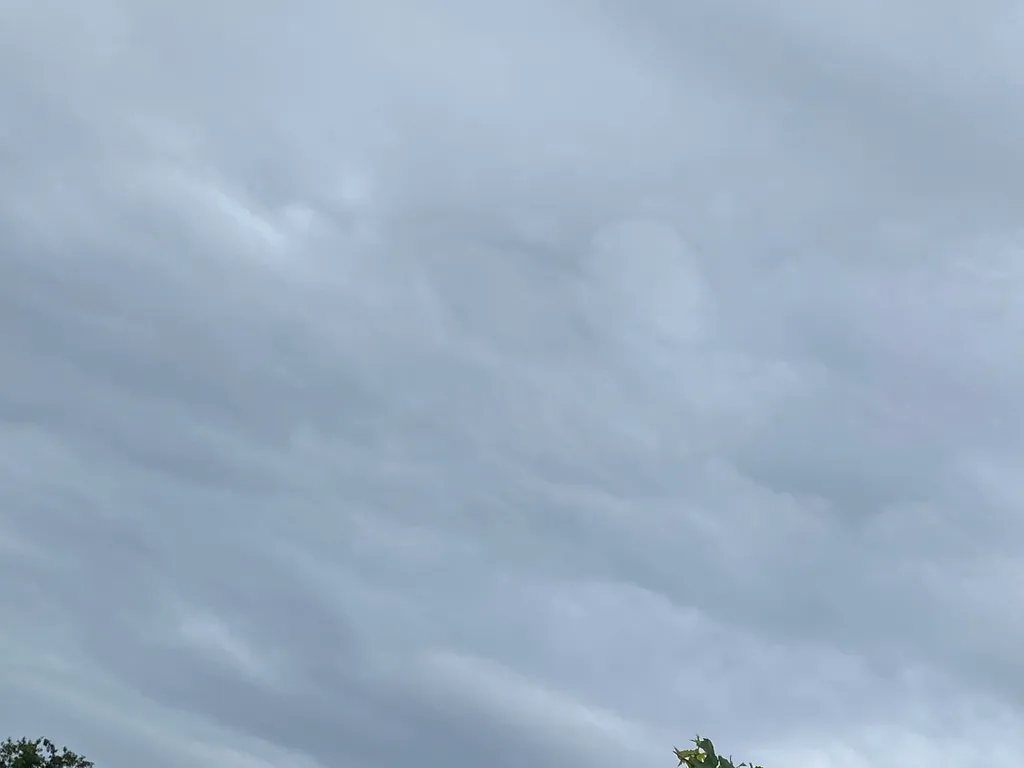 Bild von Gisela für den Spot 1586