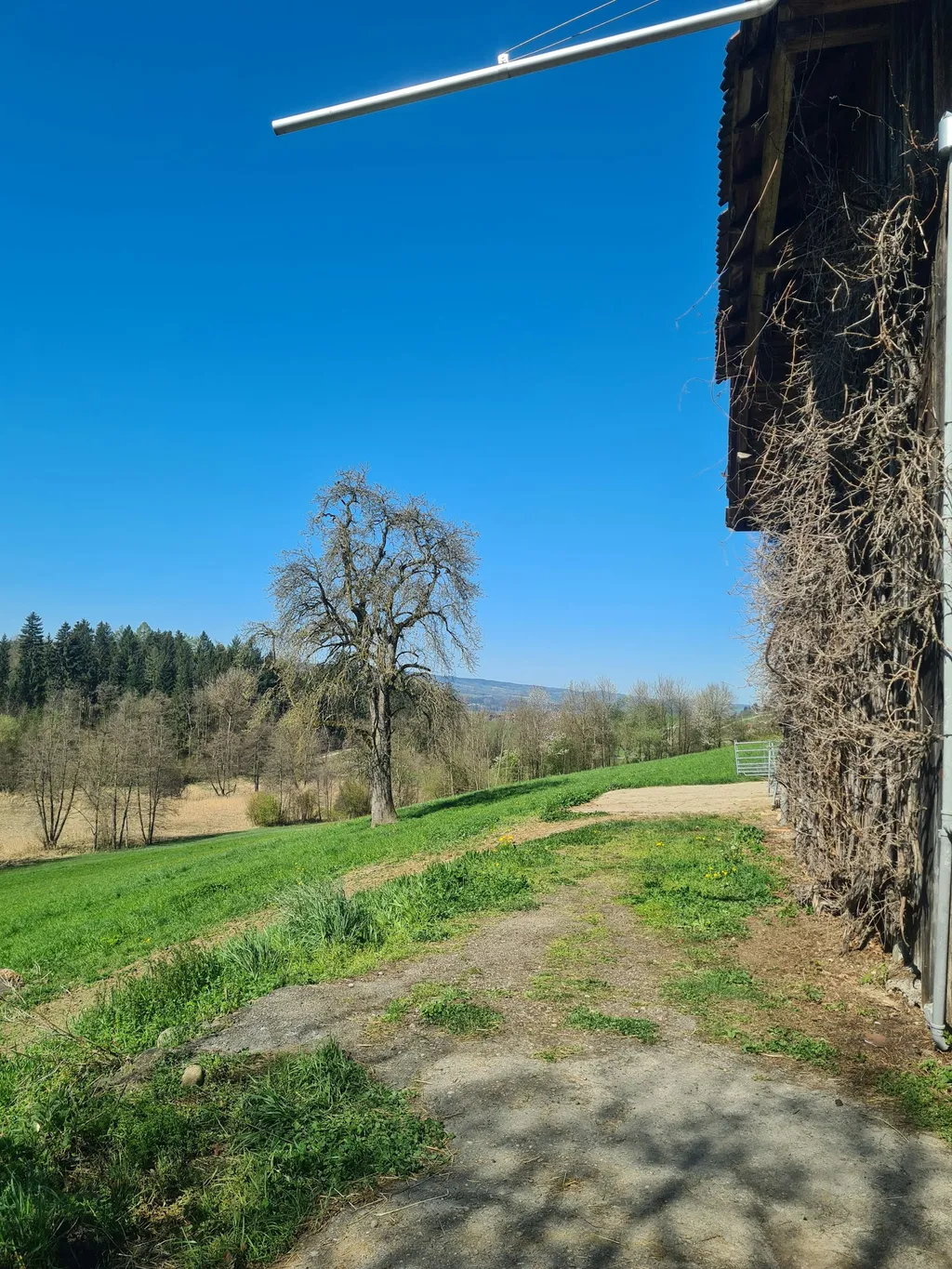 Entschleunigen und Genießen