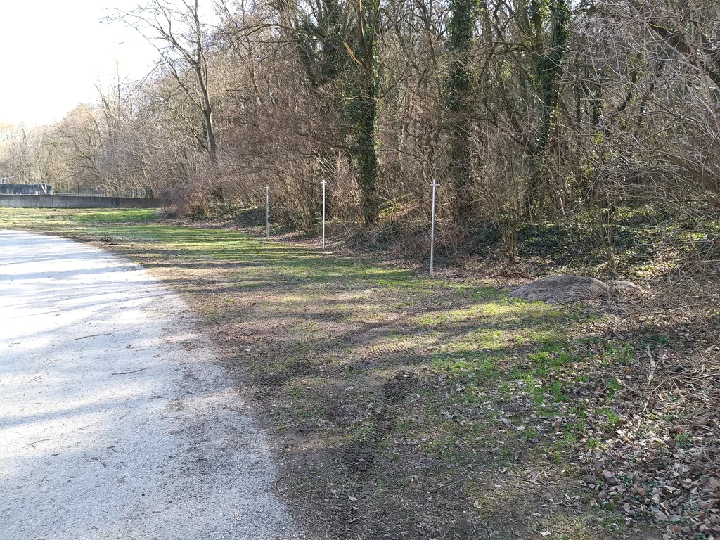Donaublick