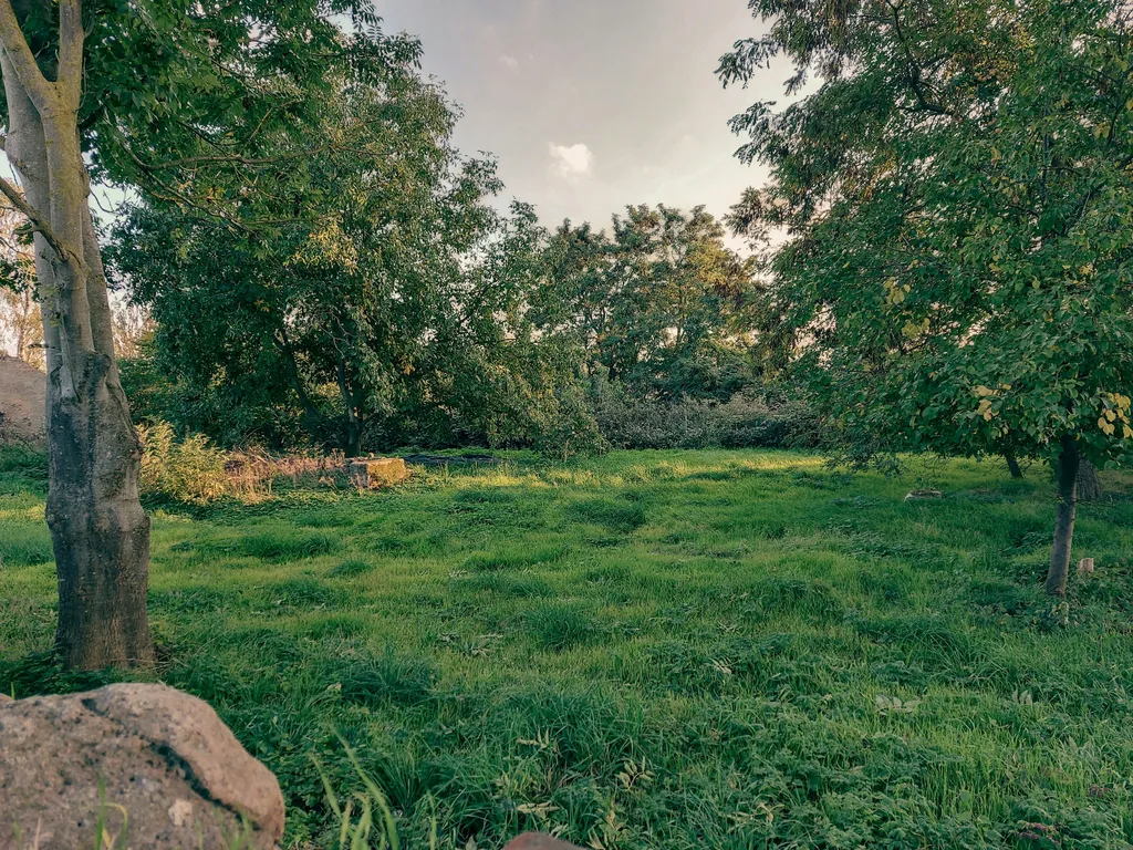 Natur pur im Tollensetal (MV)