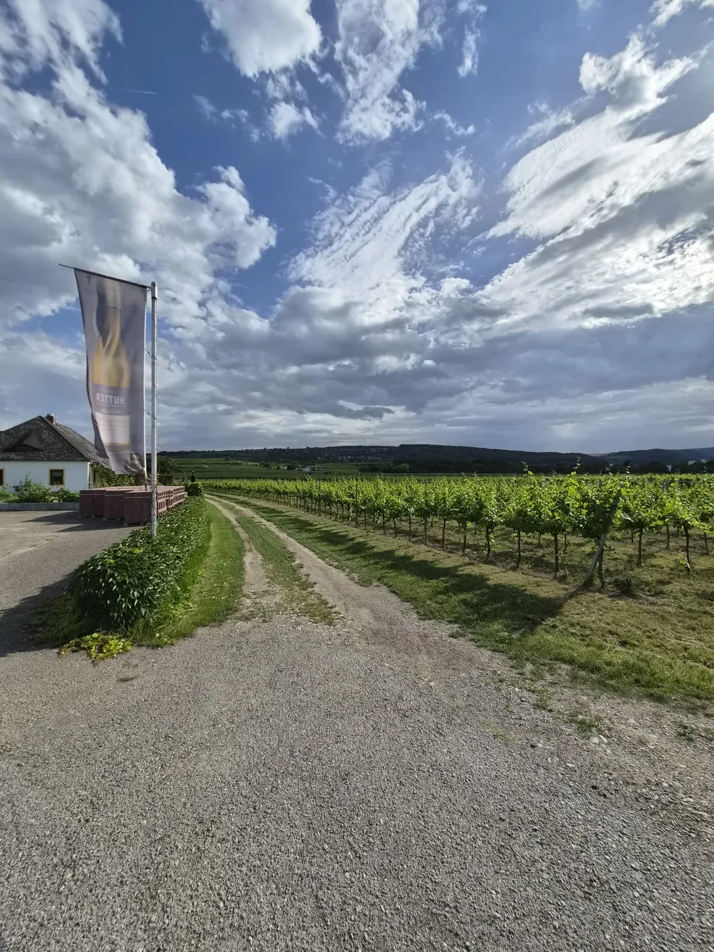 Stellplatz im Weinparadies - Idylle am Weingut
