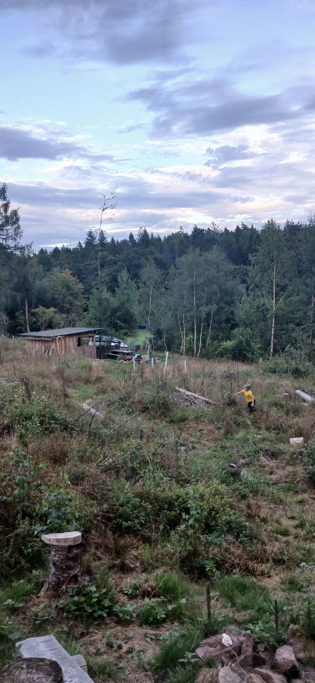 Spessart - Idylle