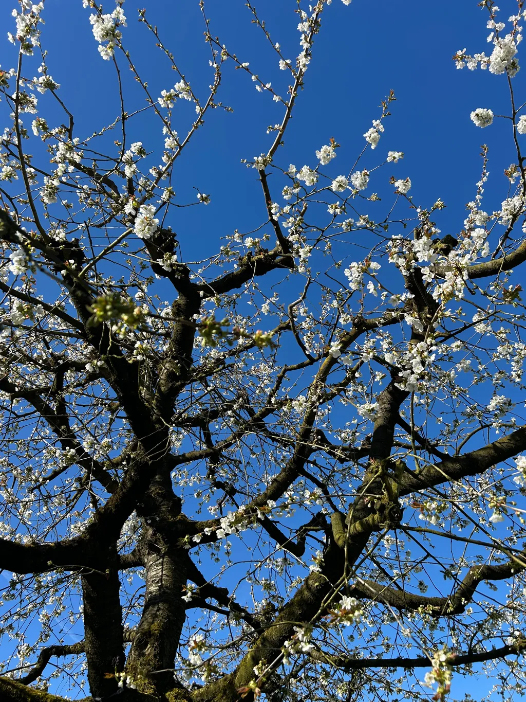 Bild von Jana für den Spot 307